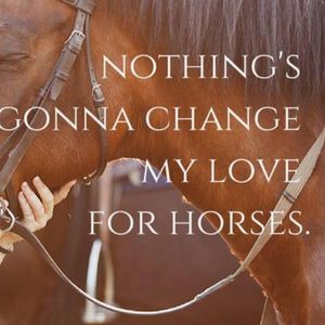 Meet your Posher, Calli